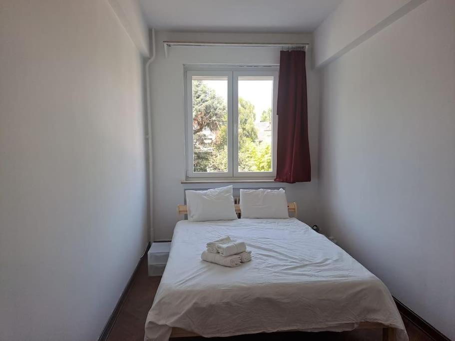 Spacious Apartment Next To Parc Du Cinquantenaire Bruxelles Extérieur photo